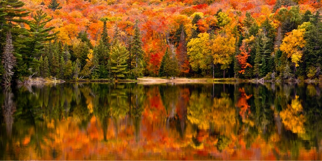 Ontario fall colours